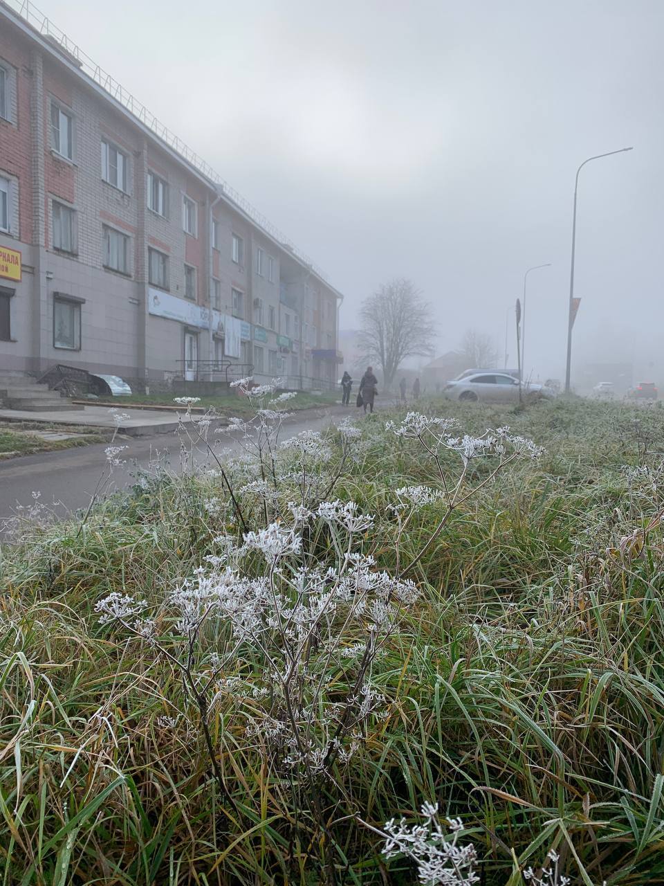 📸Сегодня погода подготовила сюрприз - все вокруг в белом инее, а лужи сковала ледовая корка. Козьмодемьянск с раннего утра дремлет в клубах густого тумана.