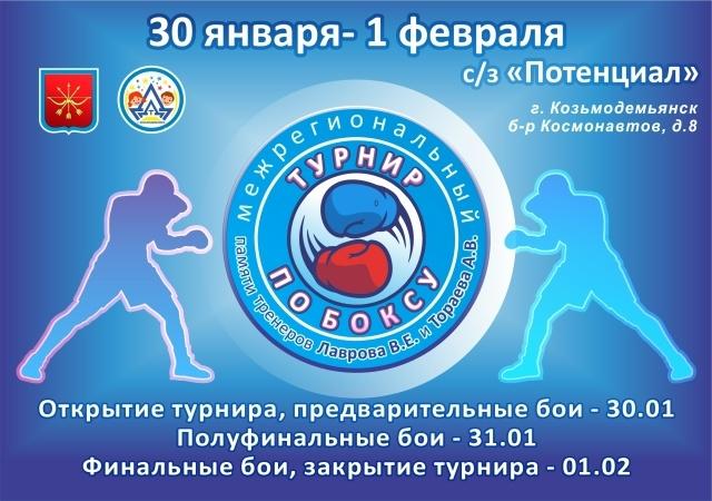 Межрегиональный турнир по боксу