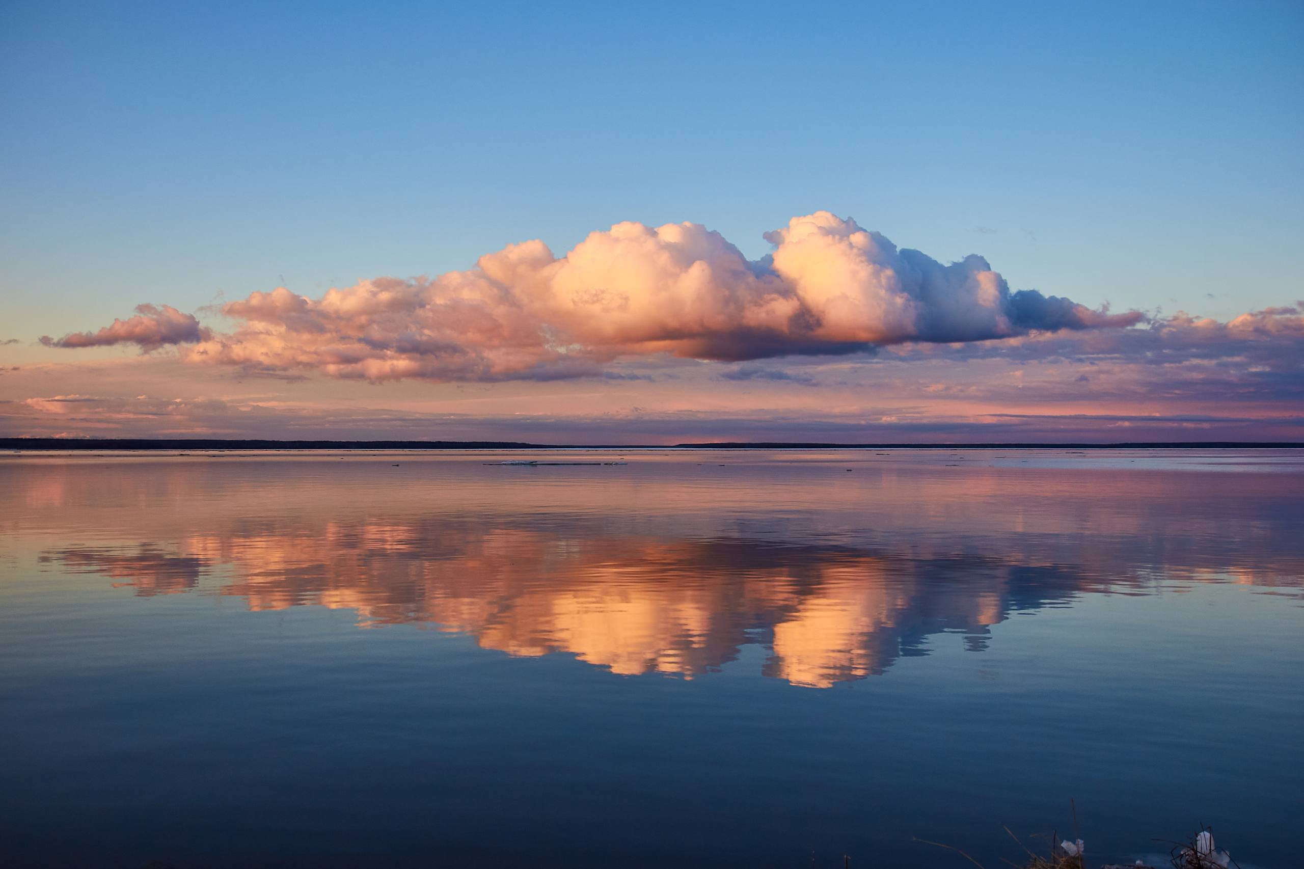 Волга 7 апреля в объективе Седы Ковтун 📸
