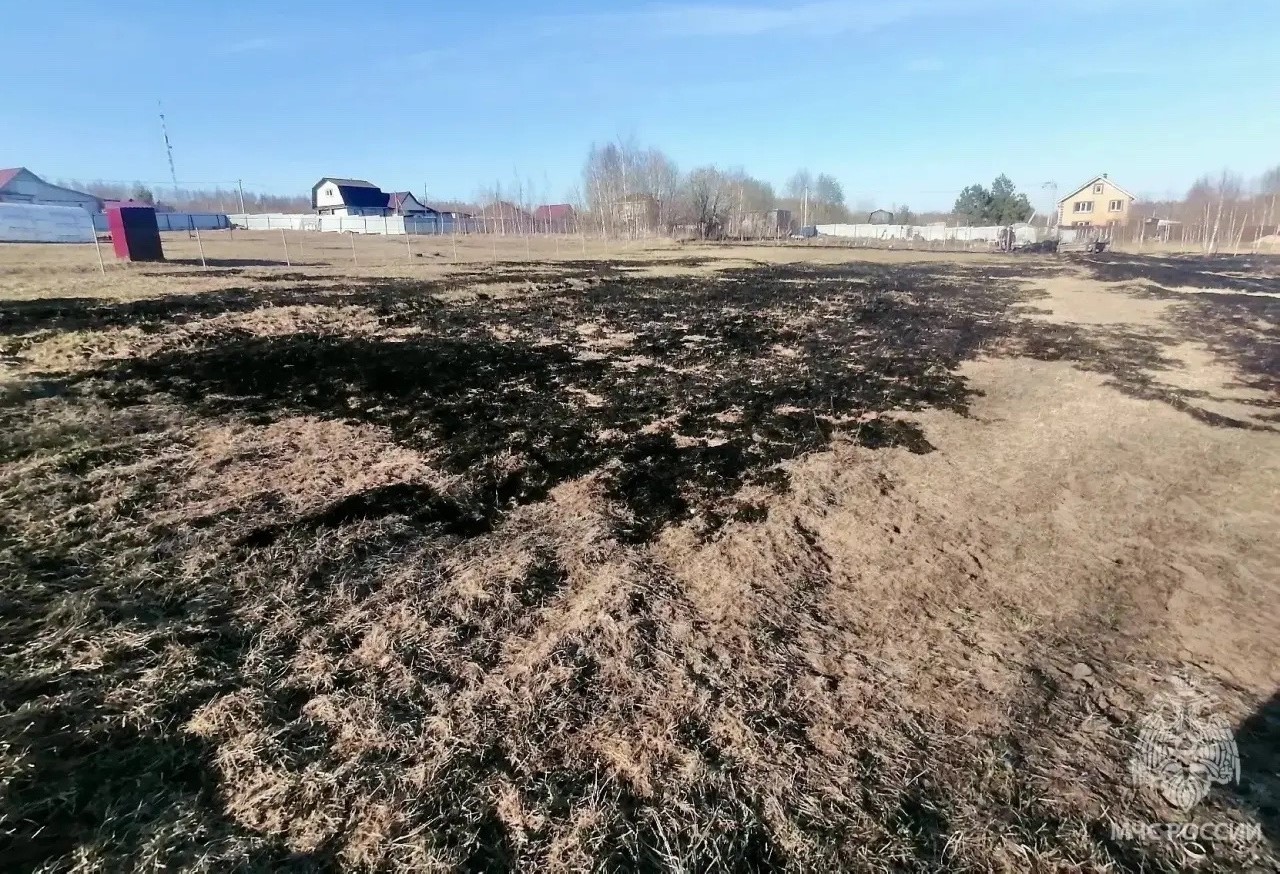 Сжигание сухой травы при уборке участка привело к пожару в Козьмодемьянске