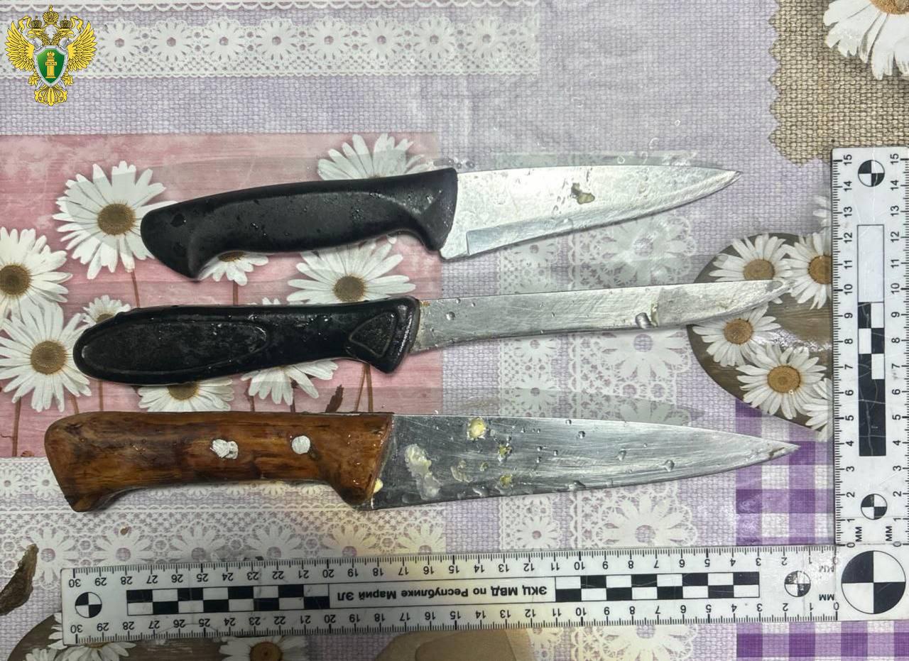 ❗️Горномарийская межрайонная прокуратура признала законным возбуждение уголовного дела об умышленном причинении тяжкого вреда здоровью, повлекшем по неосторожности смерть потерпевшего (ч. 4 ст. 111 УК РФ).