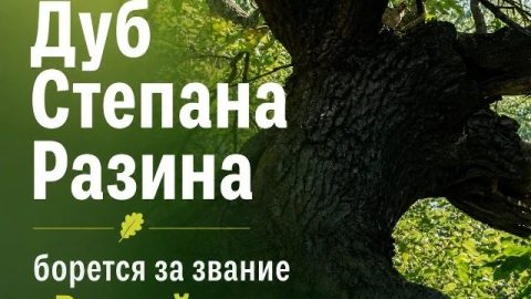 До завершения голосования осталось всего 2 дня!