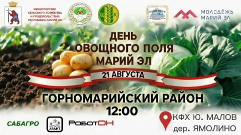 🥕 В Марий Эл пройдет республиканская выставка «День овощного поля – 2026»