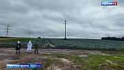 Пошкудем 12.09.2026