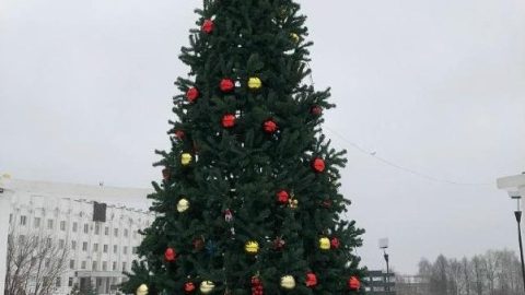 🎄Совсем скоро главная городская ёлка засияет огнями и соберет вокруг себя больших и маленьких любителей зимних праздников.