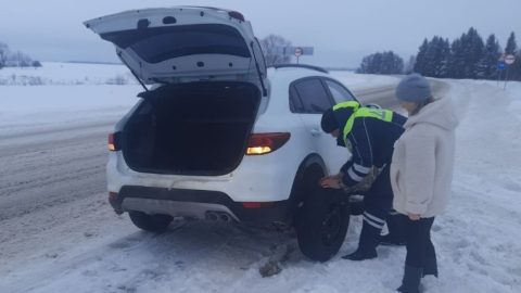 Госавтоинспекторы помогли взволнованной девушке на трассе Марий Эл заменить пробитое колесо