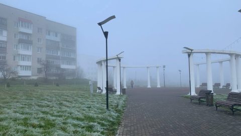 Без названия