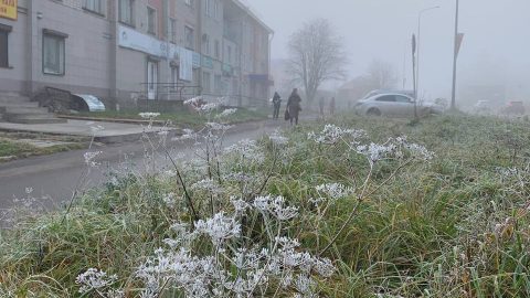 📸Сегодня погода подготовила сюрприз - все вокруг в белом инее, а лужи сковала ледовая корка. Козьмодемьянск с раннего утра дремлет в клубах густого тумана.
