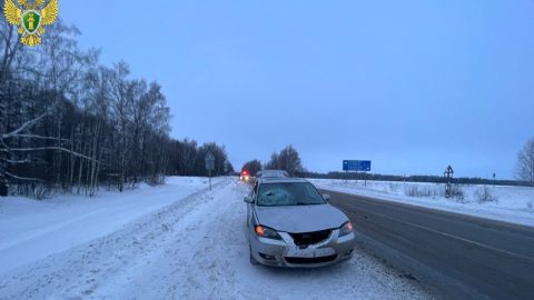 В Горномарийском районе машина насмерть сбила 77-летнюю женщину-пешехода