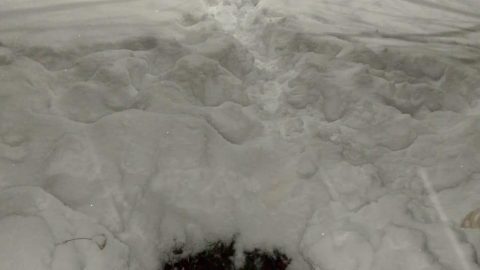 📍Внимание! Открытый люк во втором микрорайоне д.1 напротив нотариальной конторы. Сегодня там гуляли девочки 9-10 лет, одна из них провалилась в этот люк, успела зацепиться. Другие девочки помогли выбраться. Чудом обошлось без травмы. Люк был запрошен снег