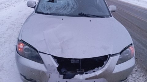 Утро в Марий Эл началось со смертельного ДТП