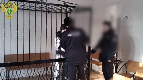 Пьяный житель Марий Эл угрожал полицейским и ударил представителя власти