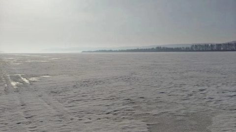 Результатами очередного мониторинга обстановки на водных объектах республики поделились спасатели Марийской аварийно-спасательной службы