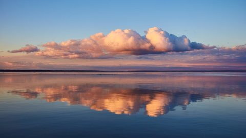 Волга 7 апреля в объективе Седы Ковтун 📸