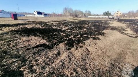 Сжигание сухой травы при уборке участка привело к пожару в Козьмодемьянске