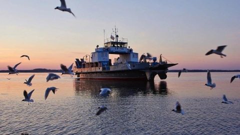 Сезон паромной навигации 2026 "Козьмодемьянск - Коротни" открыт.