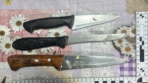 ❗️Горномарийская межрайонная прокуратура признала законным возбуждение уголовного дела об умышленном причинении тяжкого вреда здоровью, повлекшем по неосторожности смерть потерпевшего (ч. 4 ст. 111 УК РФ).